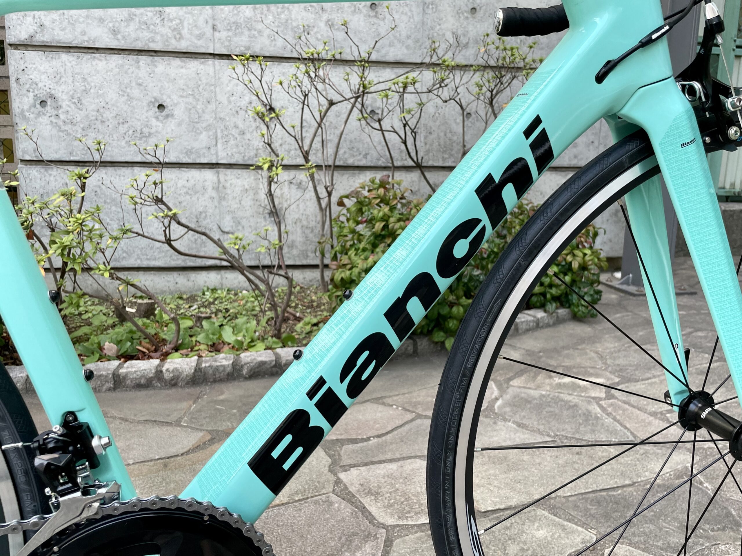 【大宮】”SPRINT” Has Come!! この春を思い切り楽しみたいあなた 