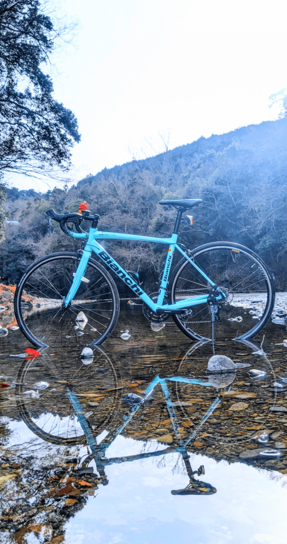 パリコレクション Bianchi ロードバイク 水色東京都板橋区 自転車本体