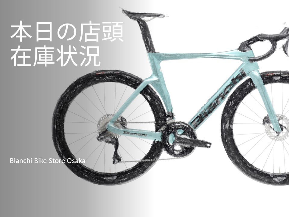 Bianchi ロードバイク シルバー BIKE DETAIL - bianchi